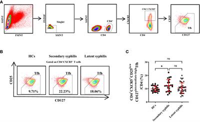 Dysregulation of circulating T follicular helper cell subsets and their potential role in the pathogenesis of syphilis